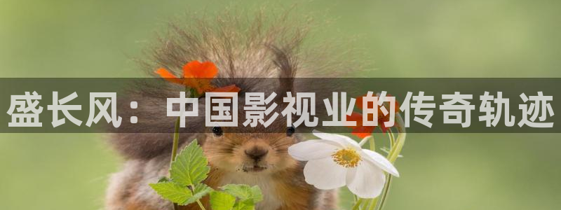 星海之外定档海报