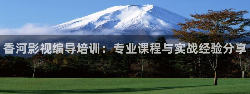 星海之外定档海报