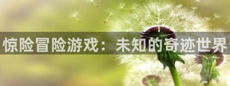 星海之外定档海报