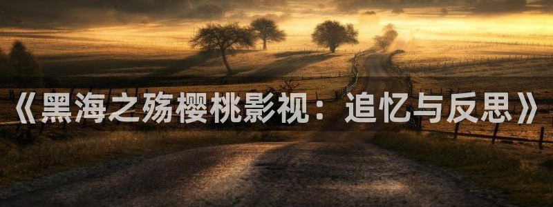 星海之外定档海报
