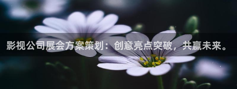 星海之外定档海报