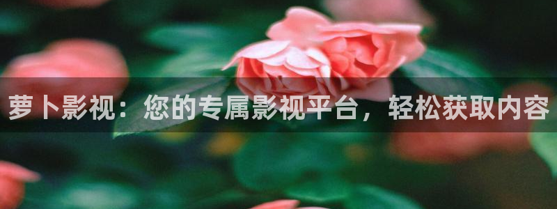 星海之外定档海报